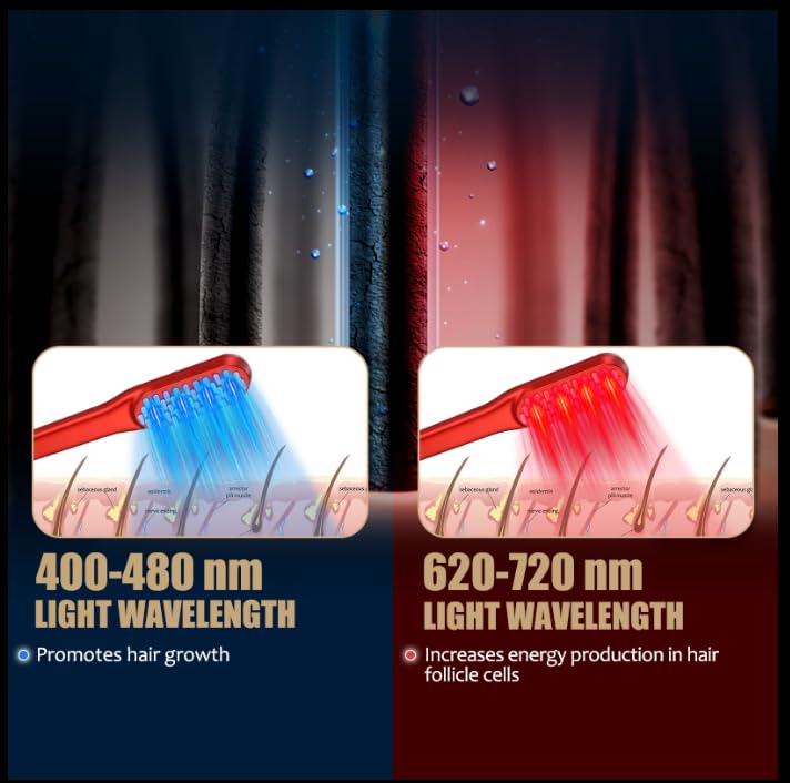 Peine Láser para el Crecimient - Hair Care Basic reseña y precio